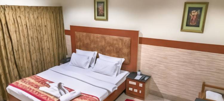 阿雅斯酒店(Hotel Aryaas)图片