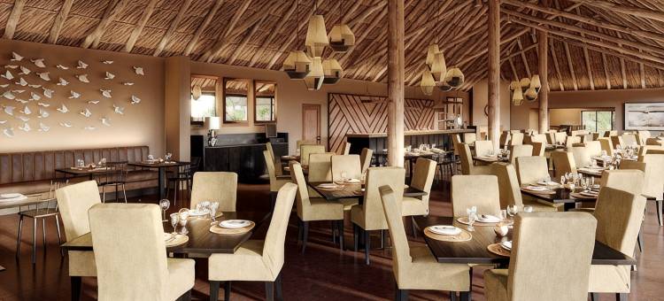 在Qwabi私人游戏保护区Letamo(Letamo at Qwabi Private Game Reserve by Newmark)图片