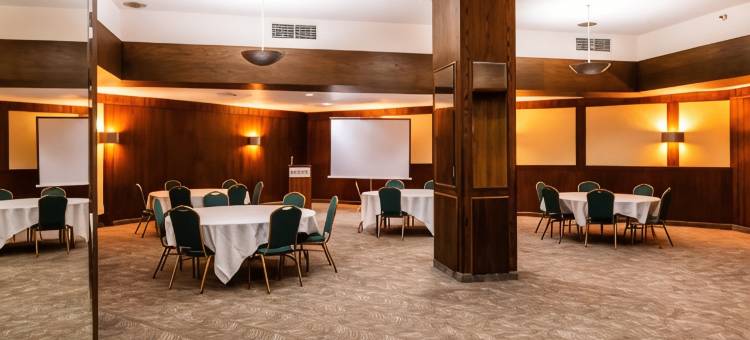 德卢斯港景丽笙酒店(Radisson Hotel Duluth-Harborview)图片