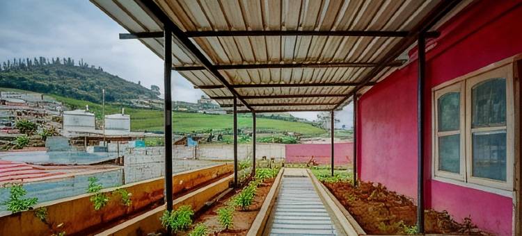 鸟山家庭旅馆(Hill Bird Homestay)图片