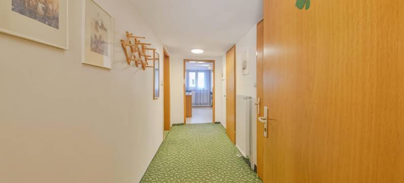 弗雷海特旅馆(Pension Freiheit)图片