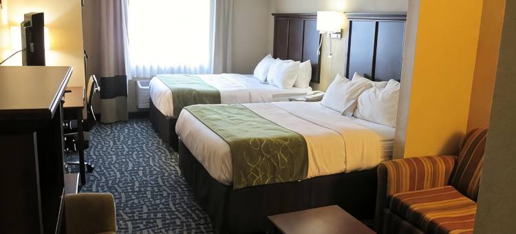 舒适套房酒店-哥伦比亚大学城(Comfort Suites Columbia - University Area)图片