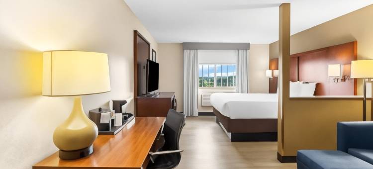 葛雷斯雷克舒适套房酒店-近利伯蒂维尔北(Comfort Suites Grayslake Near Libertyville North)图片