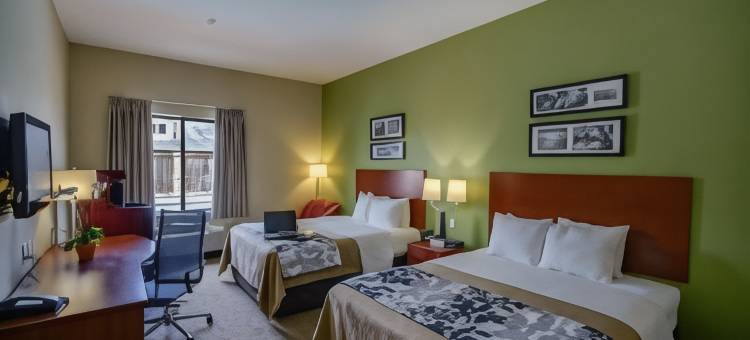 皮尔兰舒眠套房酒店-南休斯顿(Sleep Inn & Suites Pearland - Houston South)图片