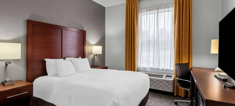舒适套房酒店(Comfort Inn & Suites)图片
