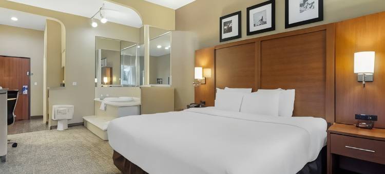 休斯顿西北舒适套房酒店-复古公园(Comfort Suites Houston NW - Vintage Park)图片
