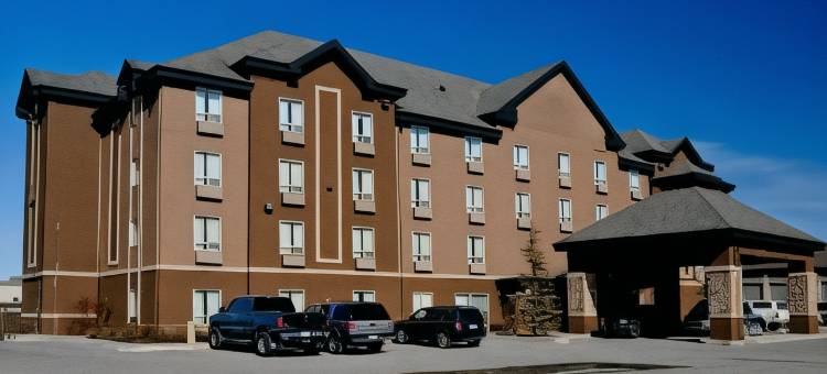 卡尔加里机场温德姆戴斯酒店(PRAIRIE CREST CALGARY AIRPORT by IHG)图片