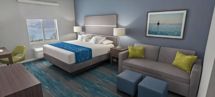 舒适酒店及套房阿德里安(Comfort Inn & Suites Adrian)图片