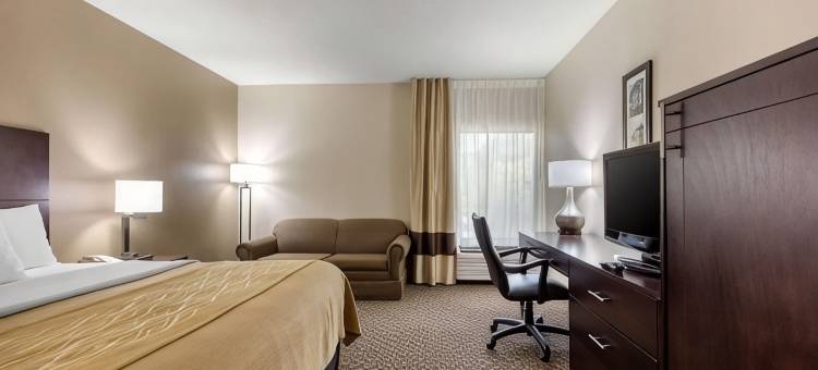 舒适酒店霍恩莱克 - 南黑文(Comfort Inn Horn Lake - Southhaven)图片