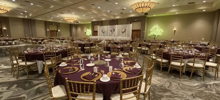 贝城河滨希尔顿逸林酒店(DoubleTree by Hilton Hotel Bay City-Riverfront)图片