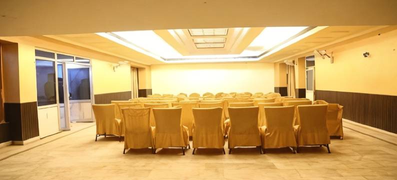 阿比国际酒店(Hotel Abhi International)图片