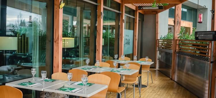 奥索尔诺索尼斯塔酒店(Sonesta Hotel Osorno)图片