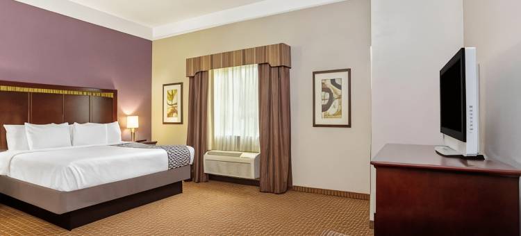 克利本拉昆塔温德姆套房酒店(La Quinta Inn & Suites by Wyndham Cleburne)图片