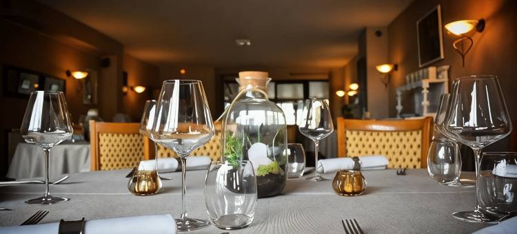 白马酒店(Le Cheval Blanc - Lac du der - Logis Hotel)图片