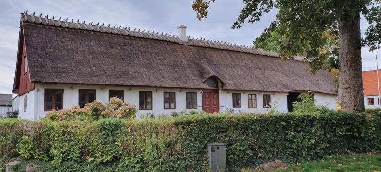 拉格尼尔兹农场旅馆(Ragnhilds Gård, Hostel Vandrerhjem)图片