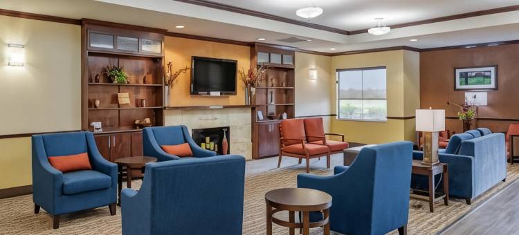 纳瓦索塔舒适套房酒店(Comfort Inn & Suites Navasota)图片