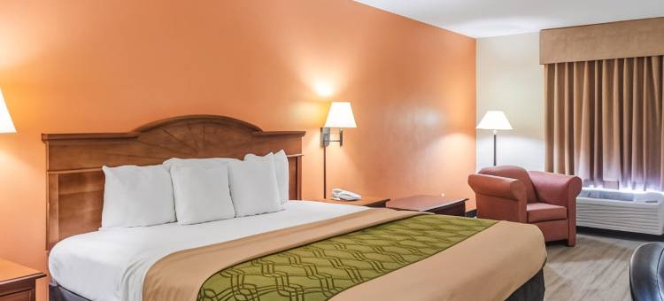 格尔夫波特伊克诺旅馆&套房(Econo Lodge Inn & Suites)图片