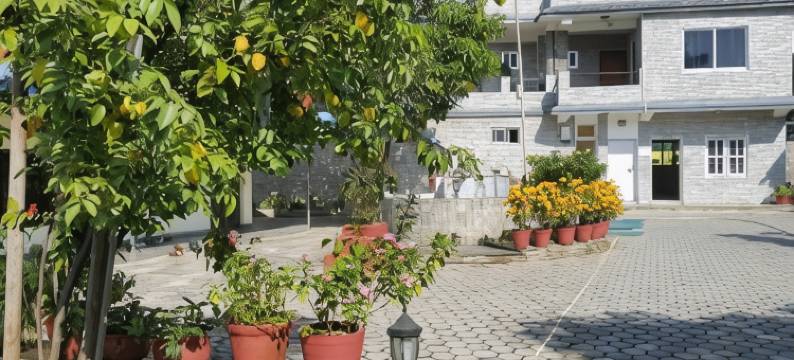 比斯拉姆酒店(Hotel Bishram)图片