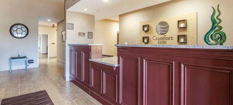 舒适酒店-莱星顿南(Comfort Inn Lexington South)图片