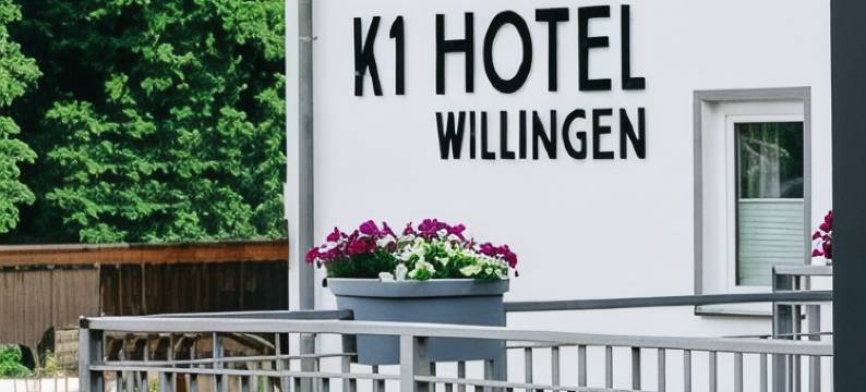 维林根 K1 酒店(K1 Hotel Willingen)图片