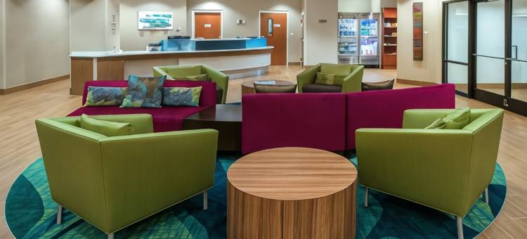 北奥兰多/桑福德万豪SpringHill酒店(Springhill Suites by Marriott Orlando North/Sanford)图片