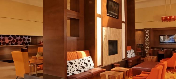 埃尔帕索万豪酒店(Marriott El Paso)图片