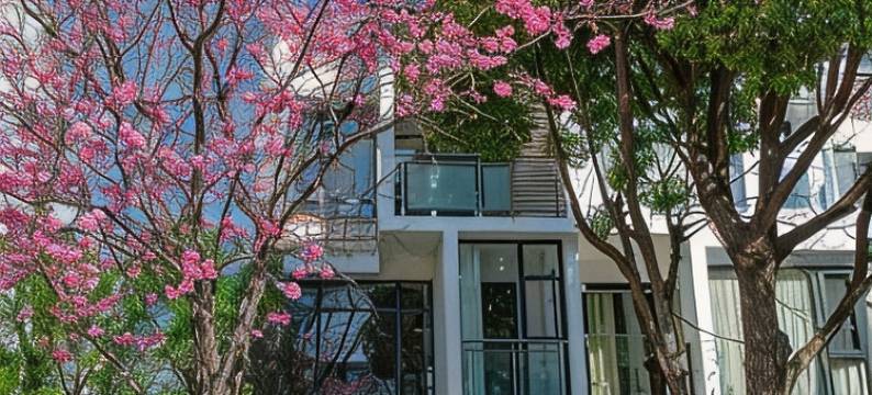 南一美宿壹号院度假别墅(苍洱大道分店)图片