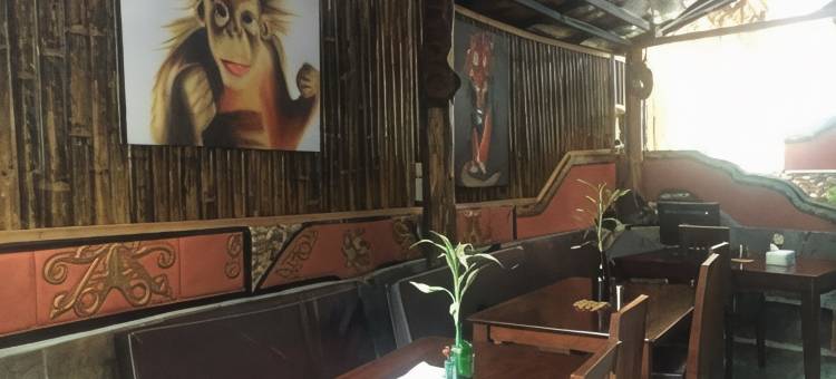 猩猩酒店(Hotel Orangutan)图片