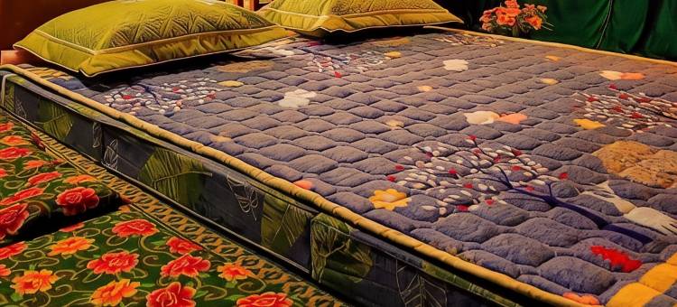 Binh Ban Lien民宿(Binh Ban Lien Homestay)图片