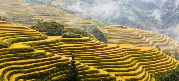 龙胜古壮人家旅馆图片