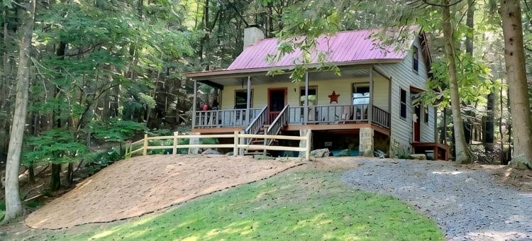 山间; 托科阿河 配有火坑的宁静木屋，可携犬(Peaceful Cabin in the Mountains; Near Toccoa River w/Firepit, Dog-Friendly)图片