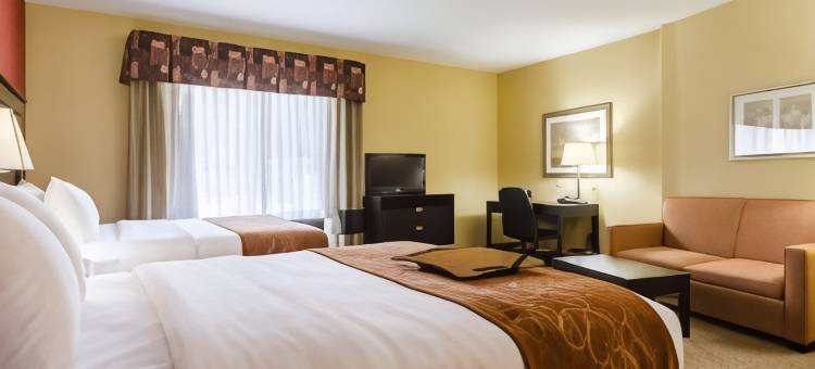 南萨莱纳舒适套房酒店(Comfort Suites Salina South)图片