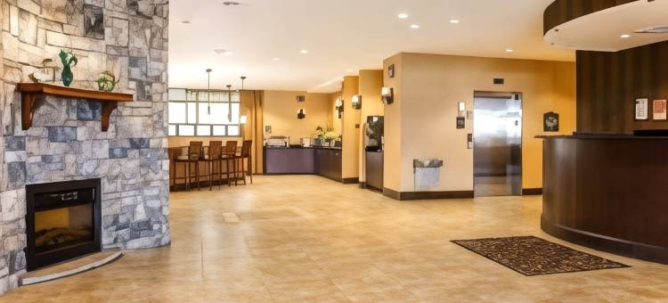 拜伦华纳罗宾斯舒适套房酒店(Comfort Suites Byron Warner Robins)图片