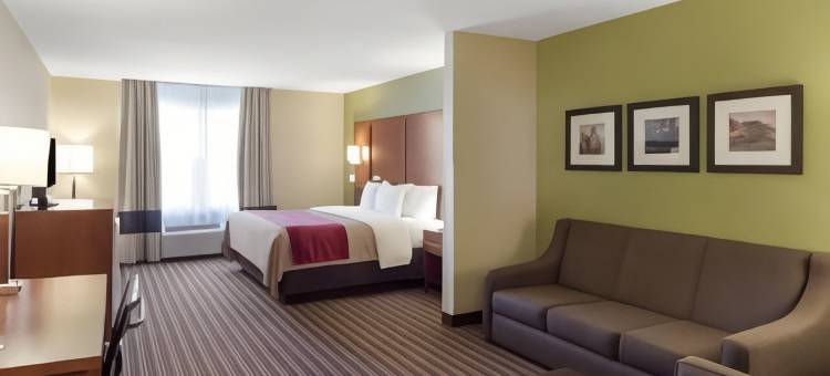 费耶特维尔大学区舒适套房酒店(Comfort Inn & Suites Fayetteville-University Area)图片