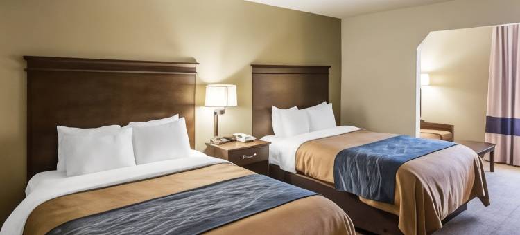 库克维尔舒适套房酒店(Comfort Suites Cookeville)图片