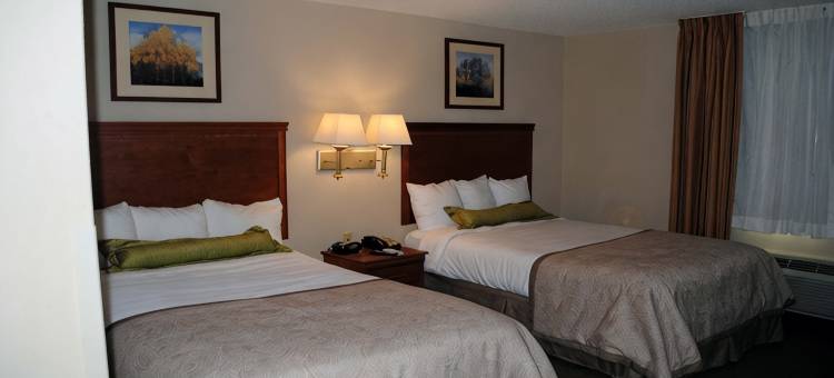 洲际Candlewood套房酒店科洛尼尔海茨-李堡(Candlewood Suites COLONIAL HEIGHTS-FT LEE by IHG)图片