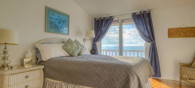 卡拉贝尔/Eastpoint 蓝海马 *佛州圣乔治海滨* 度假屋 宠物友好(Blue Seahorse *Carrabelle/Eastpoint/St. George FL Beachfront* Pet-Friendly)图片
