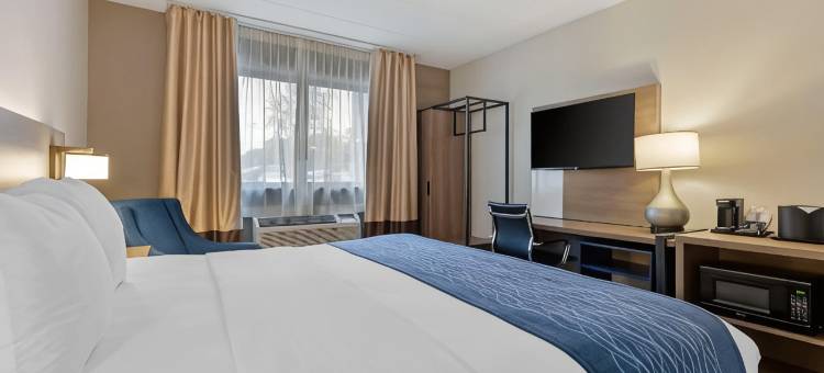 赫恩登 - 里斯顿舒适酒店(Comfort Inn Herndon-Reston)图片