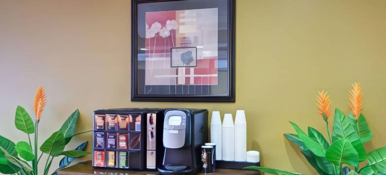 斯特林-华盛顿杜勒斯郊区开放式客房酒店(Suburban Studios Sterling - Washington Dulles)图片