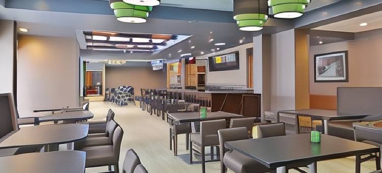 艾尔克格罗夫村奥黑尔温德姆花园酒店(Wyndham Garden Elk Grove Village/O'Hare)图片