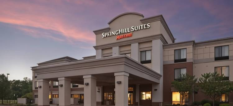 SpringHill Suites Lansing图片