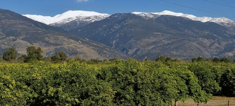 加利利海的套房(Suites in the Galilee)图片