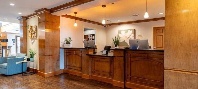 休斯顿西/能源走廊Staybridge Suites(Staybridge Suites Houston West/Energy Corridor)图片