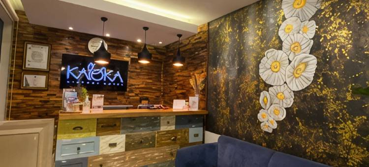 卡洛卡机场酒店(Kaloka Airport Hotel)图片