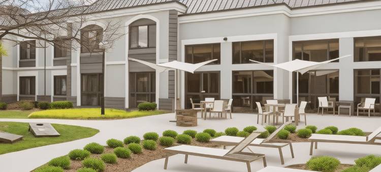 底特律诺维希尔顿逸林酒店(DoubleTree by Hilton Detroit Novi)图片