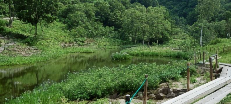 KKR 汤泽雪国(KKR Yuzawa Yukiguni)图片