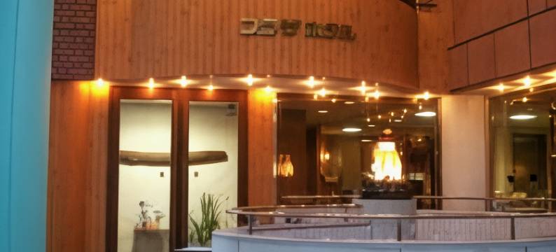 长野广场酒店(Nagano Plaza Hotel)图片