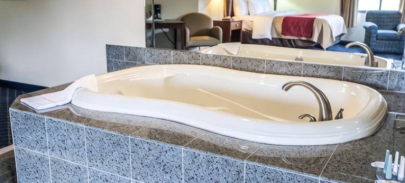 费斯特维尔-特雷弗斯舒适酒店(Comfort Inn Feasterville - Trevose)图片