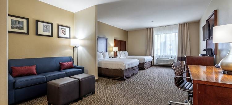 纳瓦索塔舒适套房酒店(Comfort Inn & Suites Navasota)图片