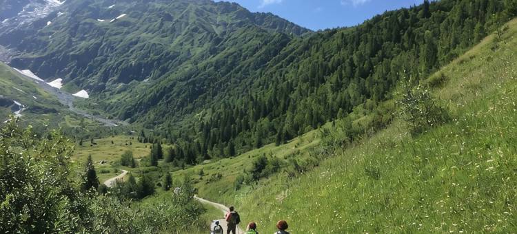 梅杰夫之心(Coeur de Megève)图片